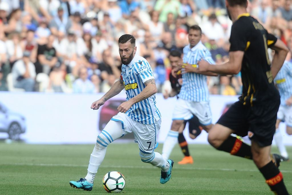 spal bn 11