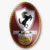 Arezzo logo